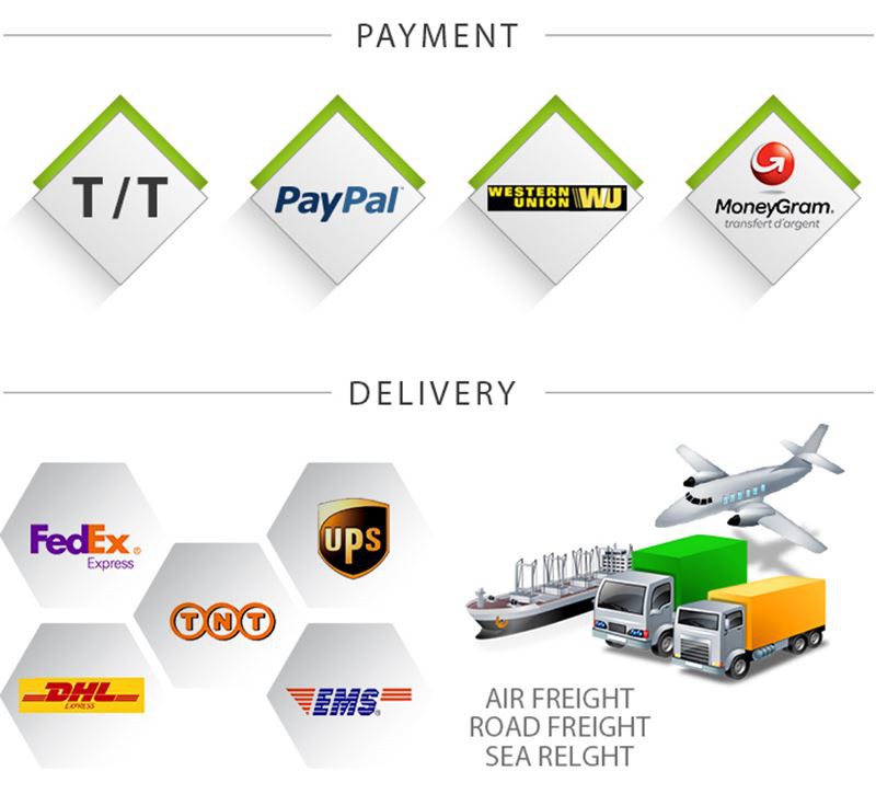 Transport and Payment Transport and Payment