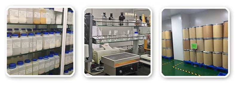 Chondroitin Sulfate Sample Chondroitin Sulfate Sample