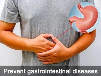 Allantoin prevents digestive diseases Allantoin prevents digestive diseases