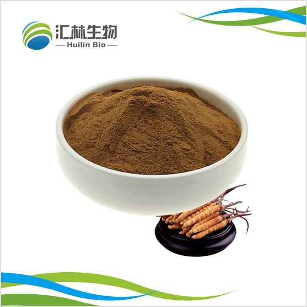 Serbuk Ekstrak Cordyceps