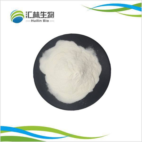 Serbuk Protein Beras