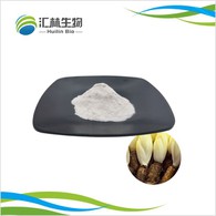 Serbuk Inulin Chicory
