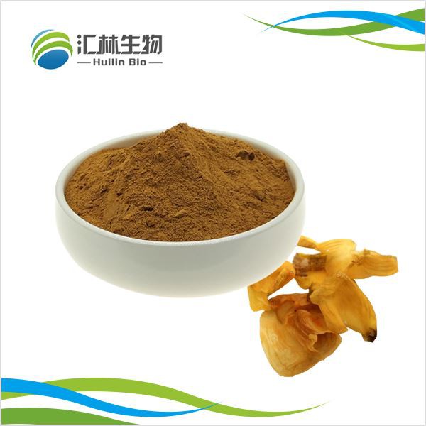 Serbuk ekstrak gizzard-membran ayam