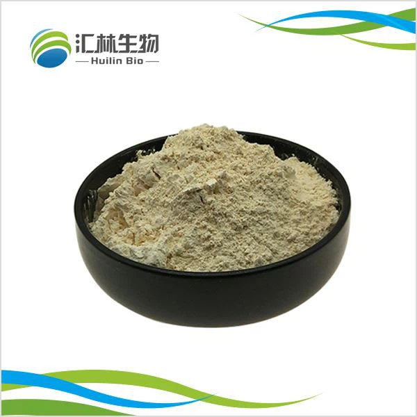 Serbuk Hidrogenasi Lecithin