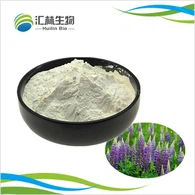 Protein Lupin Terhidrolisis