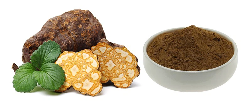 Fo-Ti Extract Powder Fo-Ti Extract Powder